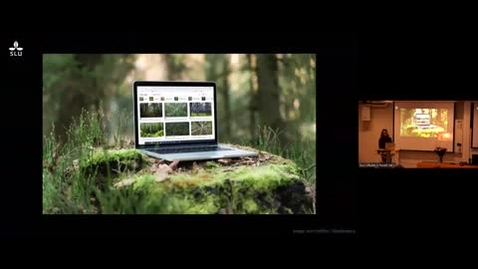 Thumbnail for Docent lecture NJ HT2025-Malte Rödl