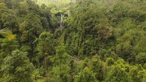 Thumbnail for Fjärilarnas okända liv i tropikerna - Fatta forskningen med Mariana Braga