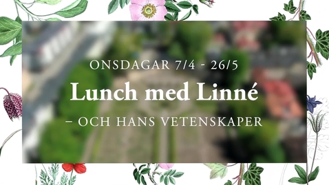 Thumbnail for Lunch med Linné