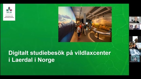 Thumbnail for Digitalt studiebesök på Laerdals Vildlakscenter