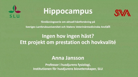 Thumbnail for Ingen hov ingen häst?, Anna Jansson