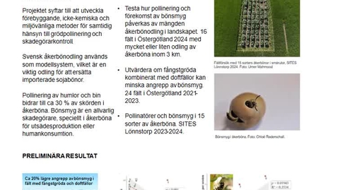 Thumbnail for Poster FoU 2024: Integrerade åtgärder för pollinering och kontroll av bönsmyg i åkerböna – Ola Lundin