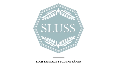 Thumbnail for Filmen on SLUSS - The film about SLUSS