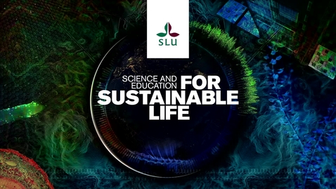 Thumbnail for SLU i Almedalen 2025: Skogens avtagande tillväxt – vad finns det för vägar framåt?