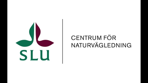 Thumbnail for CNV webbinar - 260528 - Besöksförvaltning och naturvägledning - del2