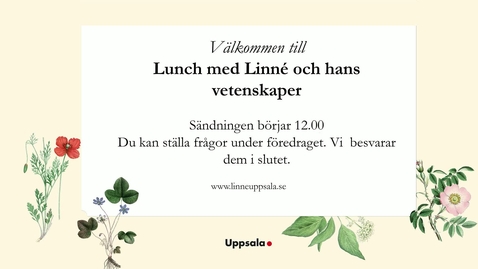 Thumbnail for Lunch med Linné