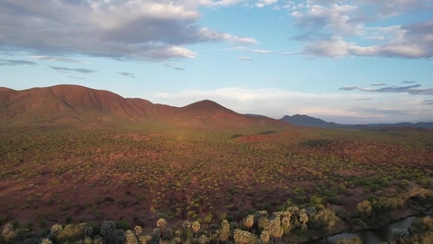 Thumbnail for Fatta forskningen med Anna Rising - Spindeltråd