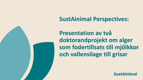Thumbnail for SustAinimal Perspectives - presentation av två doktorandprojekt om alger som fodertillsats till mjölkkor och vallensilage till grisar