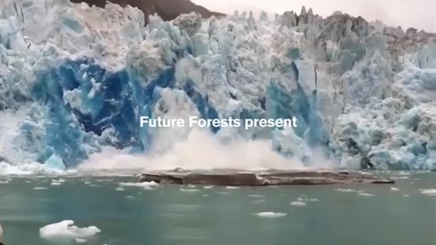 Thumbnail for Skogens roll i det nya klimatet (The Forest's Role in a New Climate)