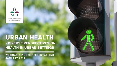 Thumbnail for Urban Health #1 – Diverse perspectives on health in urban settings