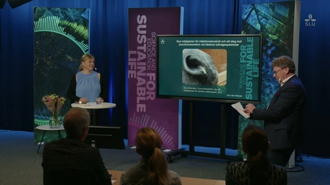 Thumbnail for Clip of docent lectures, Miia Riihimäki, VH-faculty