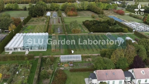 Thumbnail for SLU Garden Laboratory