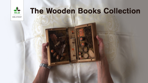 Thumbnail for The Wooden Books Collection - SLU University Library