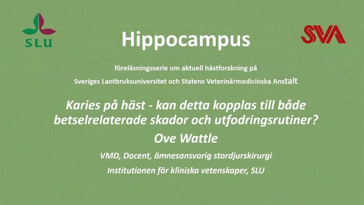 Karies hos häst, Ove Wattle