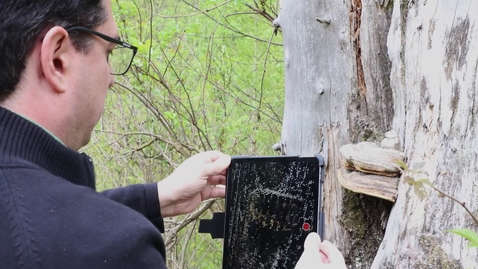 Thumbnail for Rubén Valbuena - professor i skoglig fjärranalys / Rubén Valbuena - professor of forest remote sensing