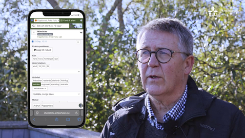 Thumbnail for Rapportera med checklistan – från observation till färdig rapport i Artportalen