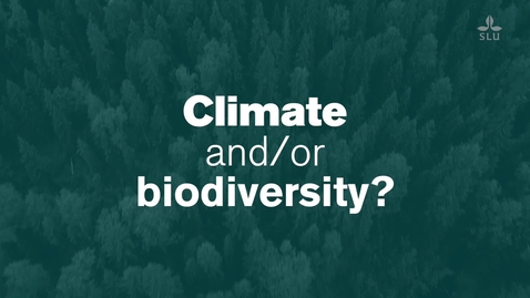 Thumbnail for Biodiversity and climate – is there a win-win? Adam Felton, SLU, and Camilla Sandström, Umeå University.