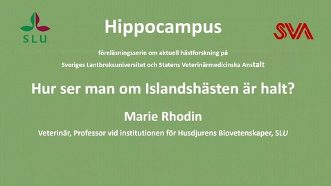 Thumbnail for Hur ser man om Islandshästen är halt?, Marie Rhodin