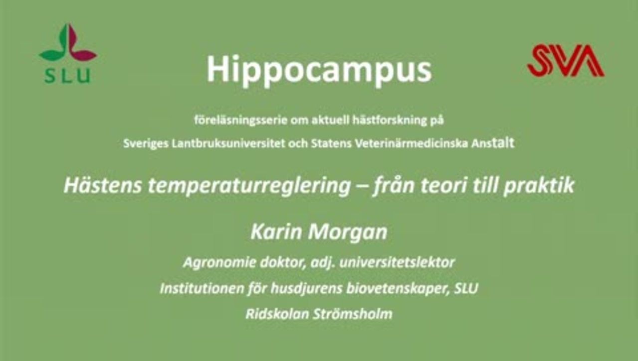 Hästens temperaturreglering, Karin Morgan