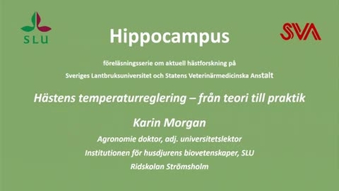 Thumbnail for Hästens temperaturreglering, Karin Morgan