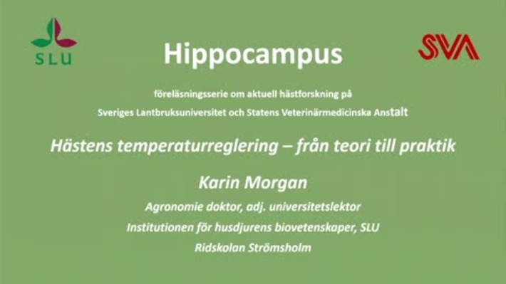 Hästens temperaturreglering, Karin Morgan