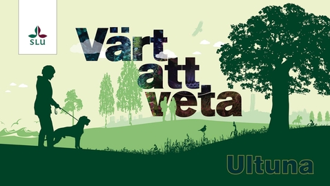 Thumbnail for Värt att veta: Återställa våtmarker – en åtgärd som gör skillnad?