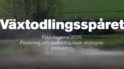 Thumbnail for Växtodlingsspåret vid FoU-dagarna 2025