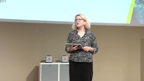 Thumbnail for Innovatörerna – om potentialen i fler kvinnor som ledare i lantbruket, Annie Roos, Linnéuniversitetet