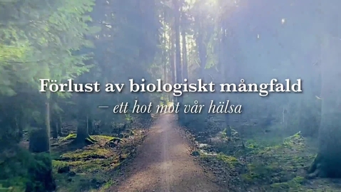 Thumbnail for Marcus Hedblom: &quot;Gröna stadsmiljöer och kopplingen till hälsa och biologisk mångfald hamnar alltid mellan stolarna&quot; (11:56 min)