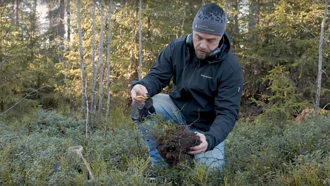 Thumbnail for Jonatan Klaminder - professor i skoglig marklära / Jonatan Klaminder - professor of soil science