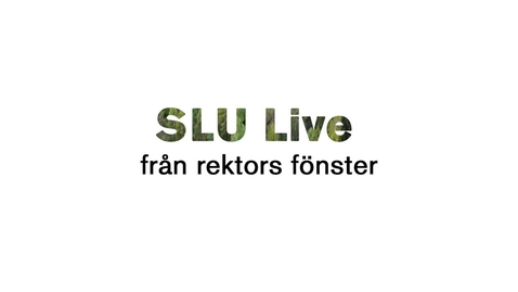 Thumbnail for SLU Live