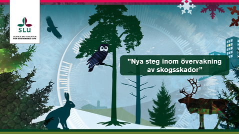 Thumbnail for Julwebinarium "Nya steg inom övervakning av skogsskador"