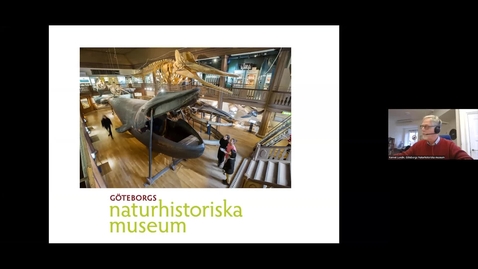 Thumbnail for Webbinar - Att sprida ringar på vattnet - Havets landskap och dess invånare. Kennet Lundin Göteborgs naturhistoriska museum