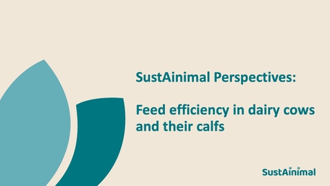 Thumbnail for SustAinimal Perspectives – Feed efficiency in dairy cows and their calfs