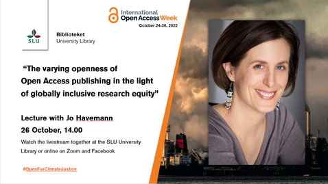 Thumbnail for Lecture on inclusive Open Access publishing in a global perspective