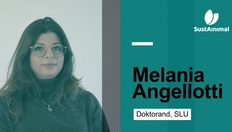 Entry thumbnail. Go to Möt Melania Angellotti från SustAinimal Academy with duration: 3 minutes, 50 seconds