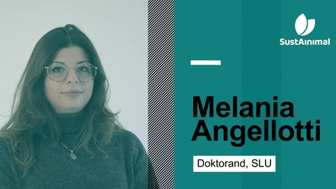 Thumbnail for Möt Melania Angellotti från SustAinimal Academy