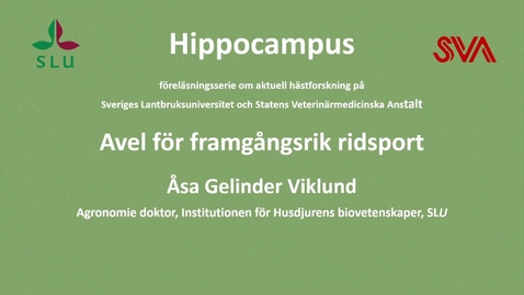Thumbnail for Avel för framgångsrik ridsport, Åsa Gelinder Viklund