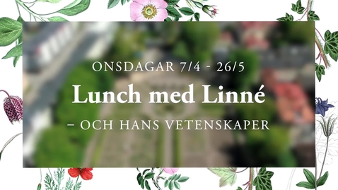 Thumbnail for Lunch med Linné