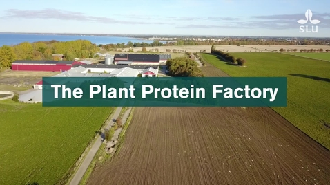 Thumbnail for The Plant Protein Factory