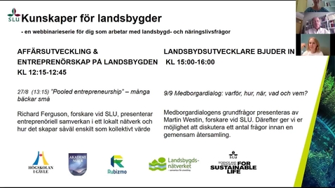 Thumbnail for ”Pooled entrepreneurship” – många bäckar små