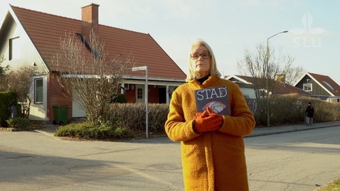 Thumbnail for STAD 36 är här
