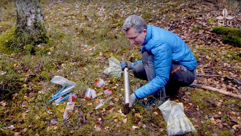 Thumbnail for Paul Kardol - professor i skoglig mikrobiologi vid SLU / Paul Kardol - professor of forest microbiology at SLU