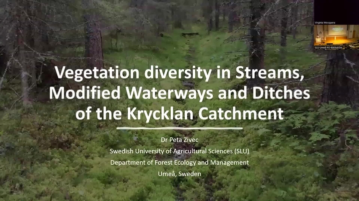 Thumbnail for channel Test