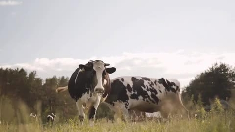 Thumbnail for Clip of VHs Docentföreläsningar - Lena-Mari Tamminen