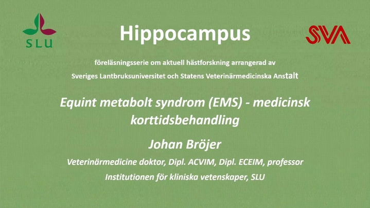 Thumbnail for channel Hippocampusdagen