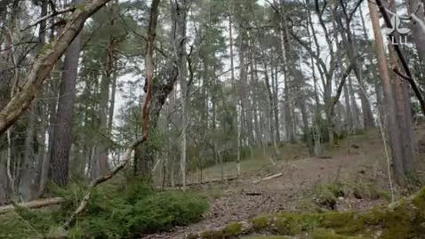 Thumbnail for  Levi Yant – professor i växtgenetik / professor of plant genetics 