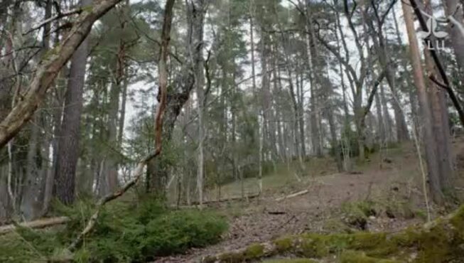 Play video