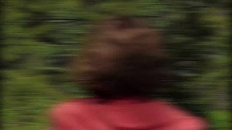 Thumbnail for [Teaser] Brand, bofink och bronshjon - en film om skog med höga naturvärden