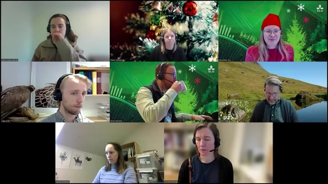 Thumbnail for Julwebbinarium 2024 SSC